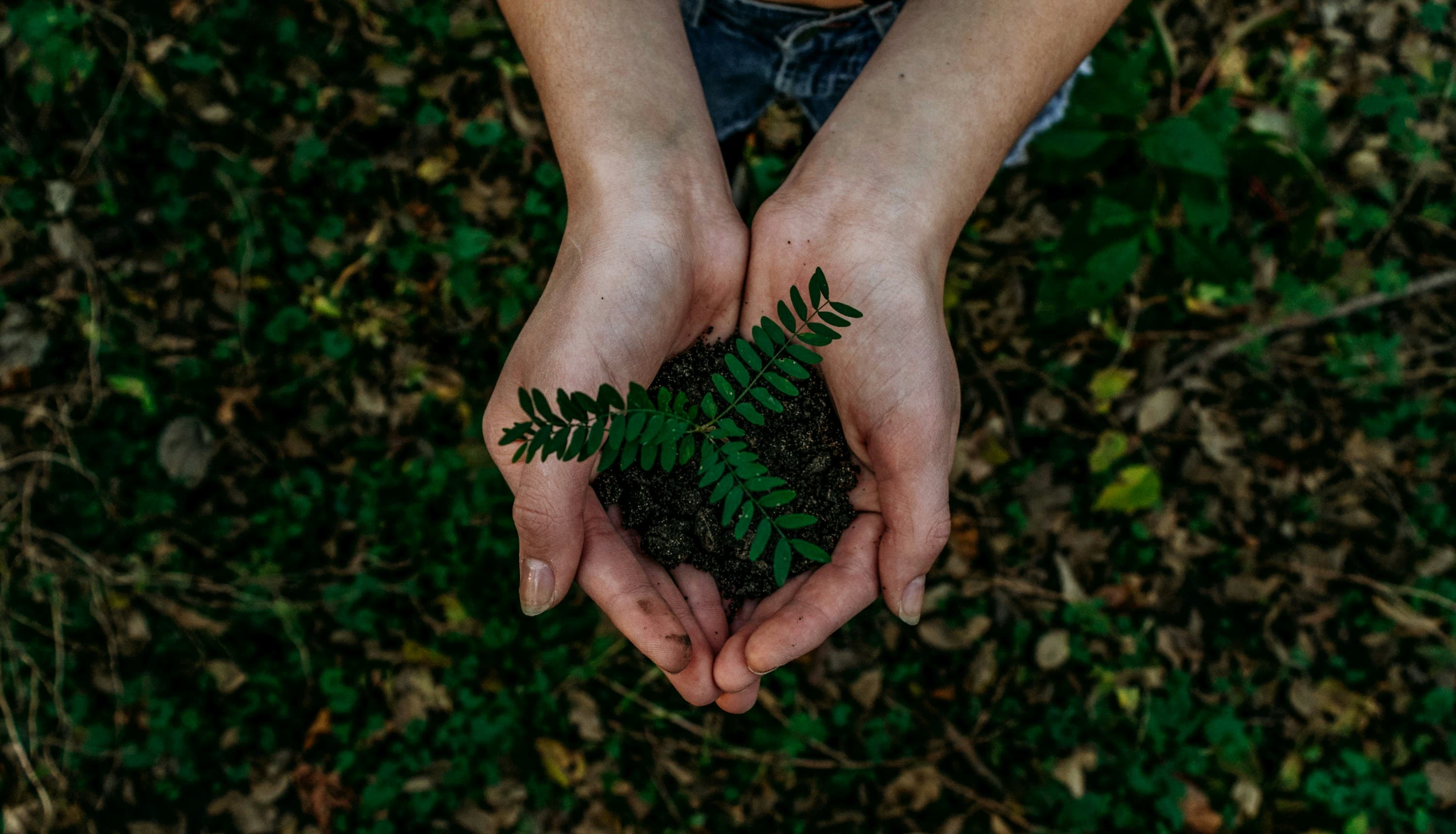 Sustainable packaging