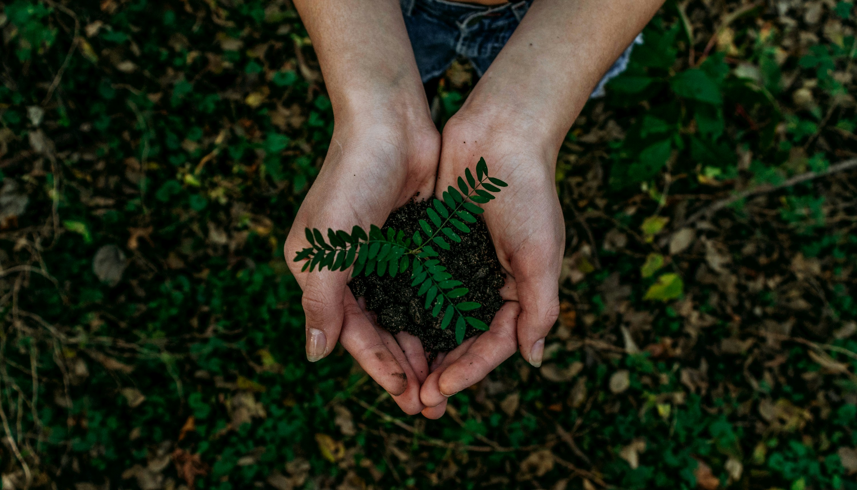 Sustainable packaging