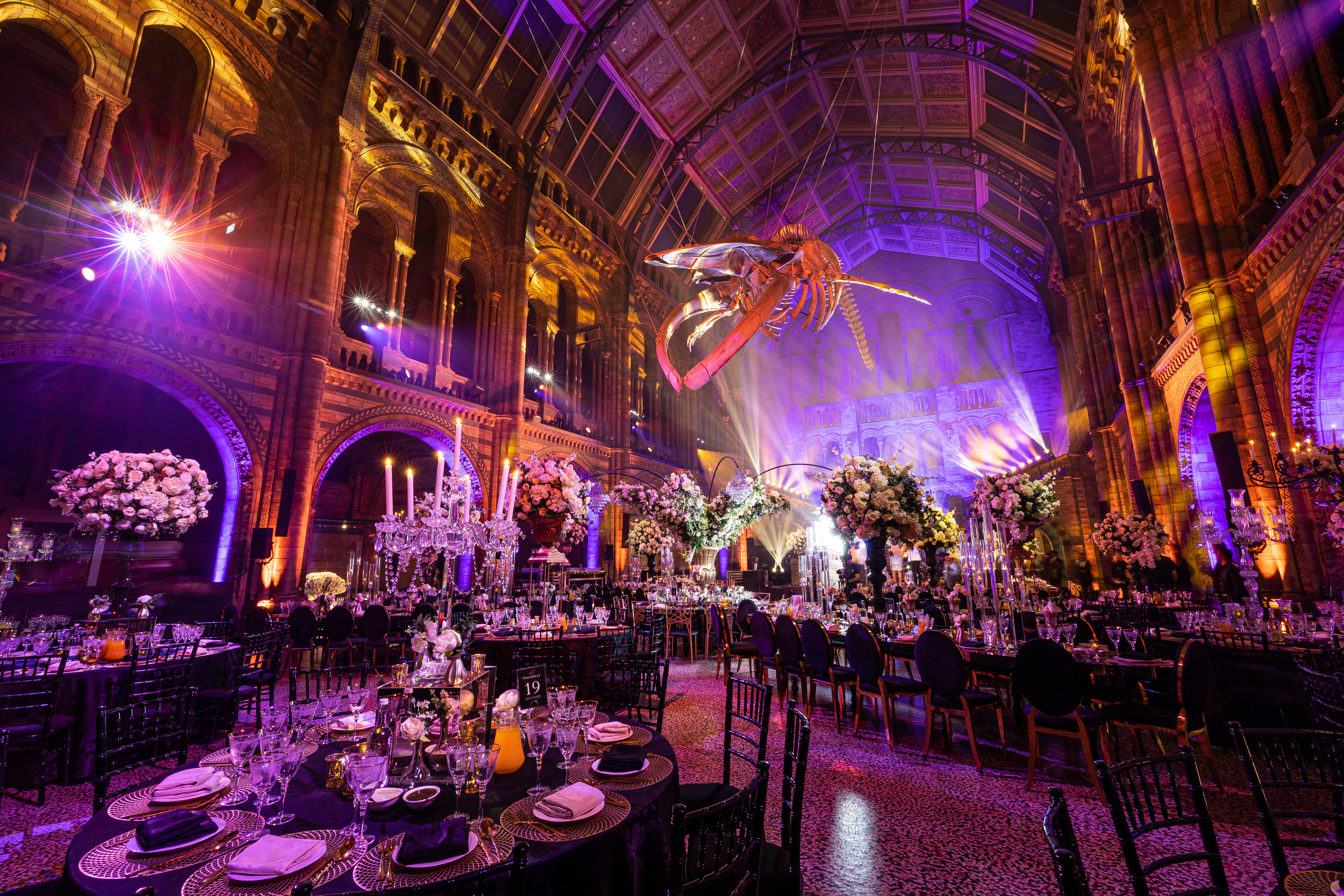 The Natural History Museum