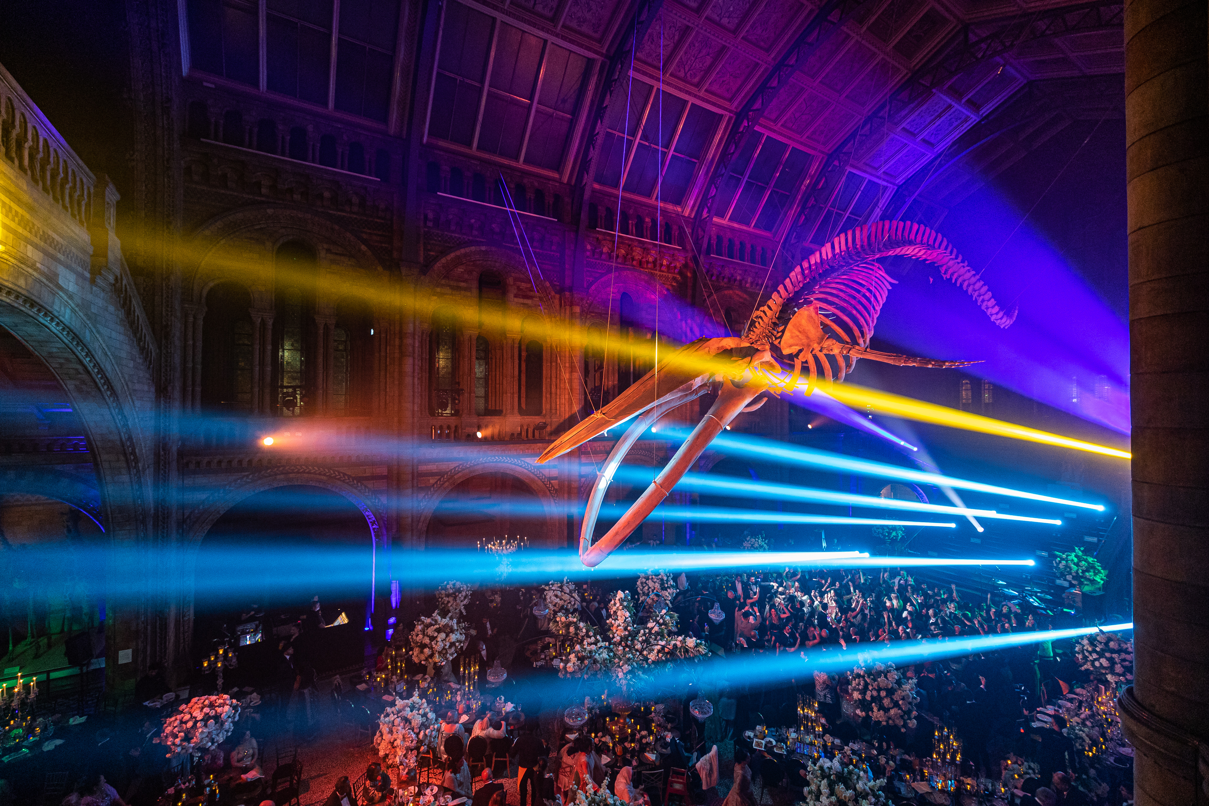 natural-history-museum - twobytwo_Kudos_NHM_Wedding-441
